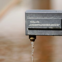 Blick auf den Champagnerbrunnen in Bad Schwalbach