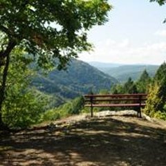 Schöner Fernblick auf dem Wispertalsteig