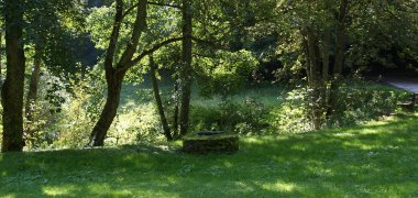 Blick auf den Adelheidbrunnen in Bad Schwalbach