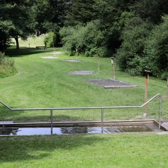 Ansicht vom Tretbecken aus über die Barfußpfad-Anlage