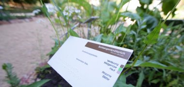Detailansicht eines Pflanzenschildes