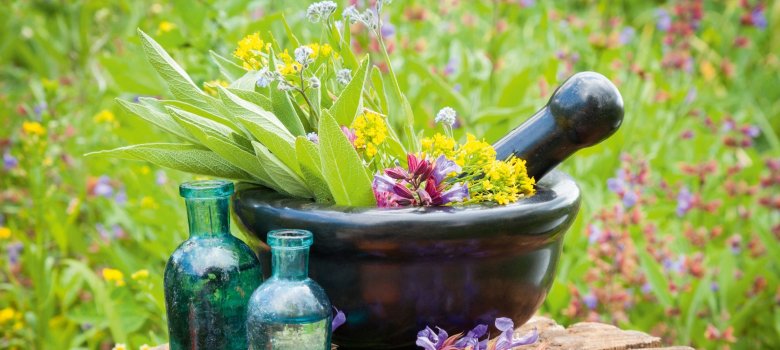 Kneipp Heilpflanzen