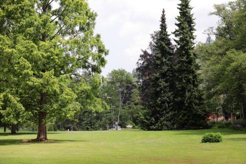 Bad_Schwalbach_180717_59.JPG