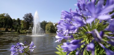 Nordic Walking am Waldsee