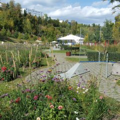 Blick auf den Minigolfplatz im Kurpark von Bad Schwalbach