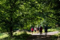Nordic Walking am Waldsee Nordic Walking am Waldsee