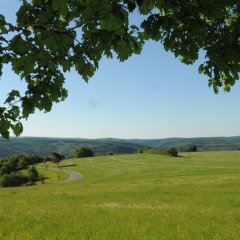 Gipfelblick in Espenschied