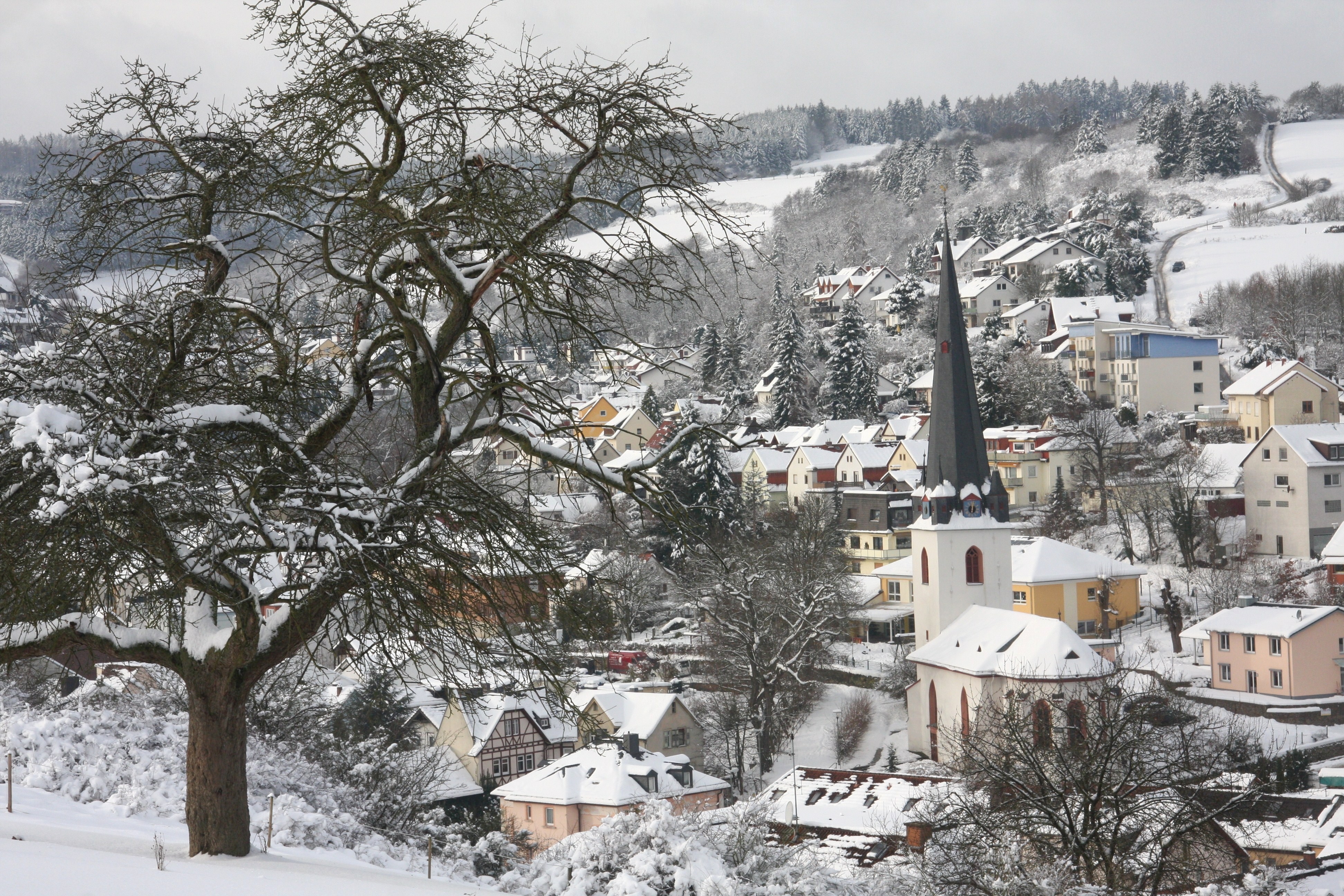 Stadtansicht im Winter Blick auf die Stadt im Winter