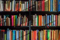 Bücherregal Bücherregal