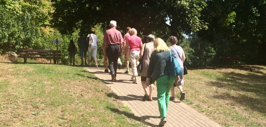 Heilpflanzenführung