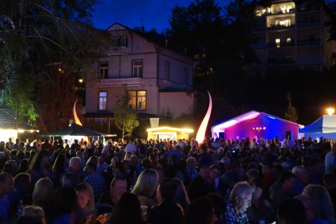 Sommerfest im Kurpark Platz am Weiher.JPG