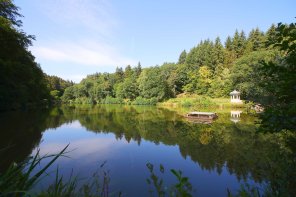 Blick auf den Waldsee in Bad Schwalbach