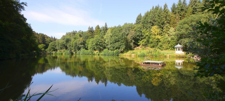 Blick auf den Waldsee in Bad Schwalbach