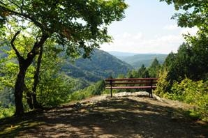 Schöner Fernblick auf dem Wispertalsteig
