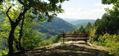 Schöner Fernblick auf dem Wispertalsteig